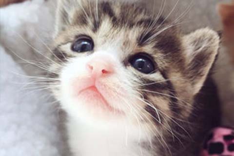 http://xuzhou.qqkaixin.com/post/193.html|徐州供卵助孕
