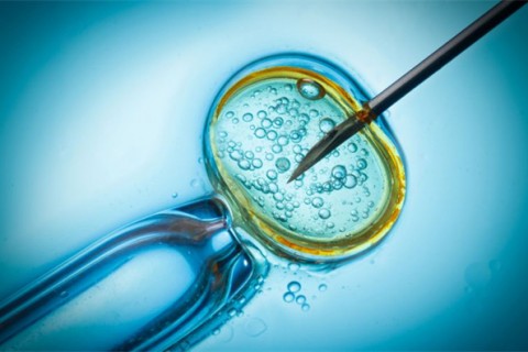http://xuzhou.qqkaixin.com/post/199.html|徐州供卵助孕
